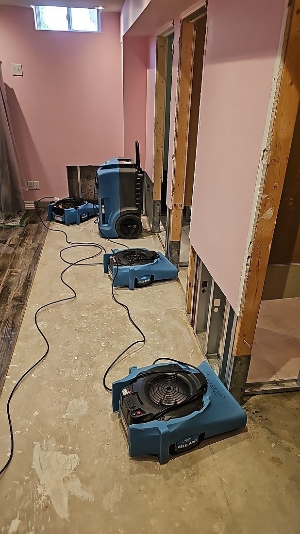 Professional Mould Inspections - 247-365.ca