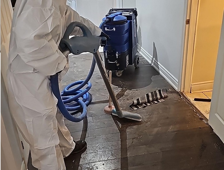 Attic Mold Inspection in Toronto – See How GTA Restoration Detects & Solves Hidden Mold Issues